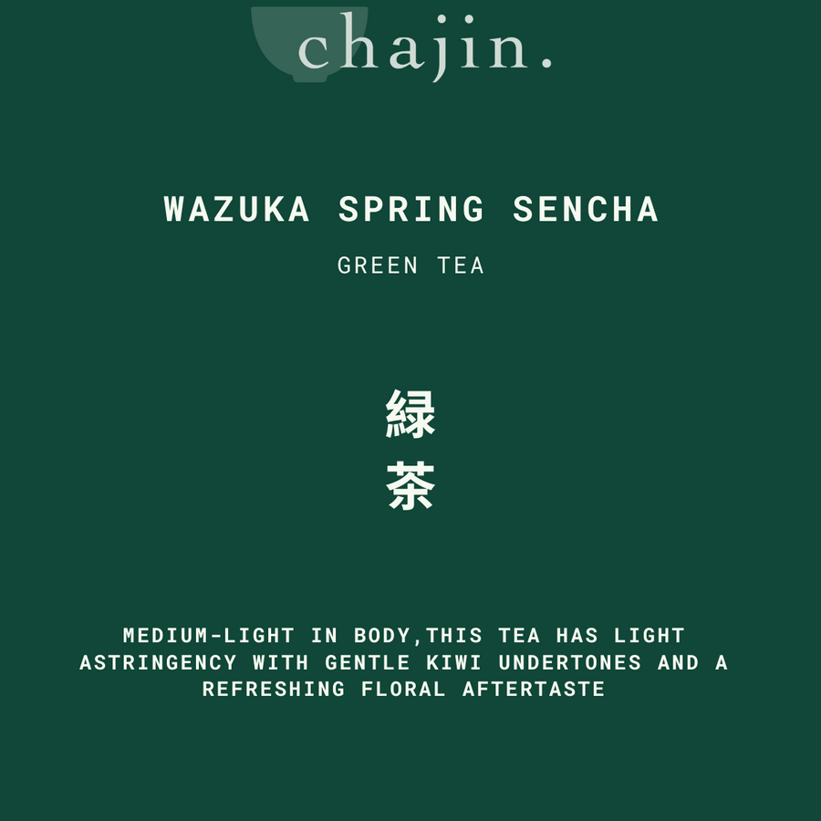 Wazuka Spring Sencha